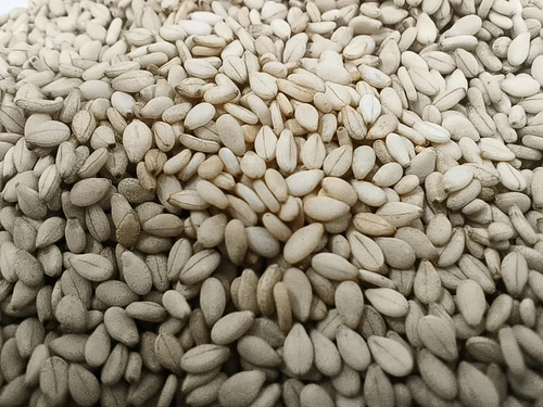 White Sesame Seeds - White Color, Food Grade, >99% Purity | Fresh Nutty Aroma, Uniform Size, Suitable for Sweets and Garnishing