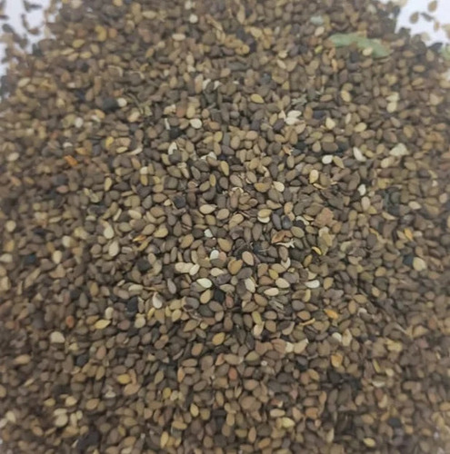 Brown Black Sesame Seed - Cultivation Type: Conventional