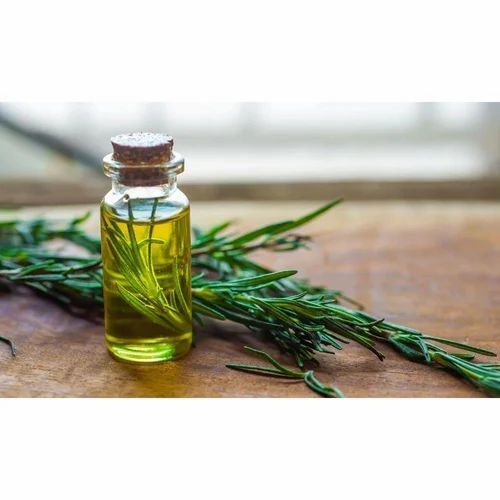 Rosemary Essential Oil