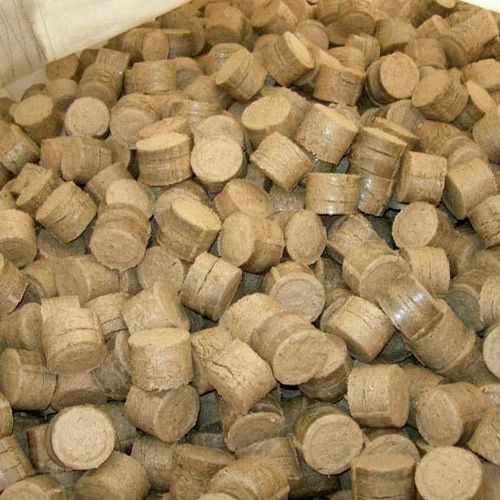 Biofuel Briquettes