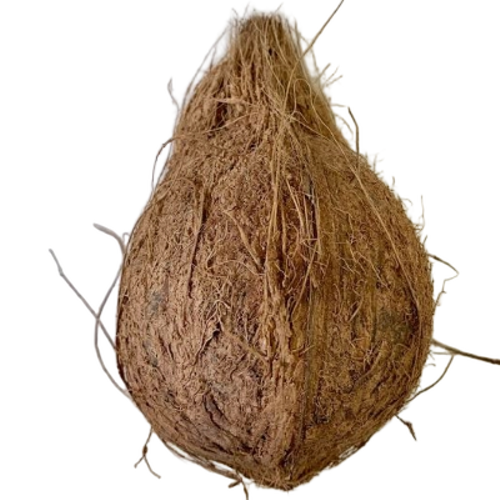 Natural Sweetness Dry Coconut - Full-Husked Brown, Dried | White Kernel, Low Moisture, Rich Oil, Long Shelf-Life