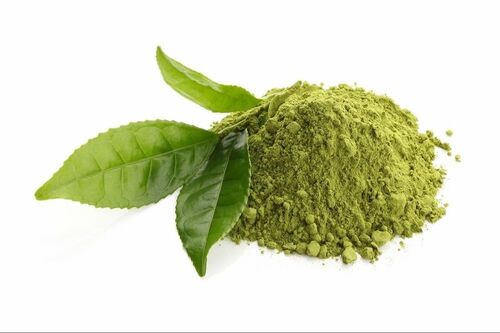 Green Tea Leaves Powder