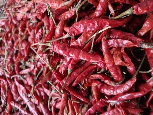 Dry Red Chilli