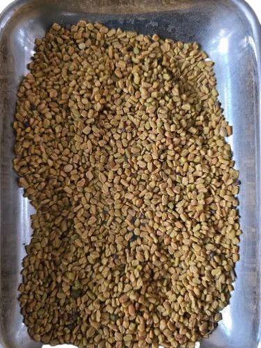 Fenugreek Seed
