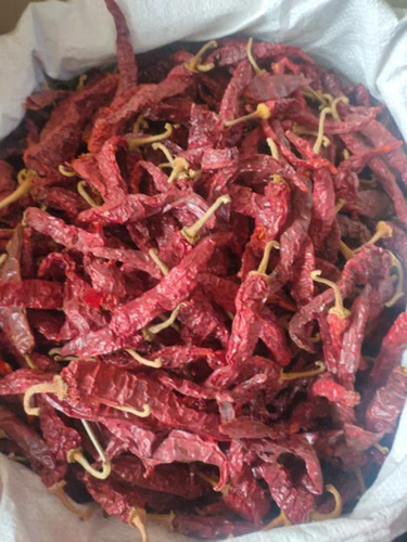 Kashmir Red Chilli