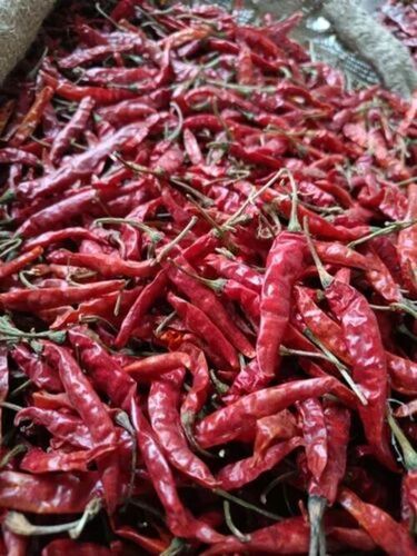 Natural Dry Red Chilli