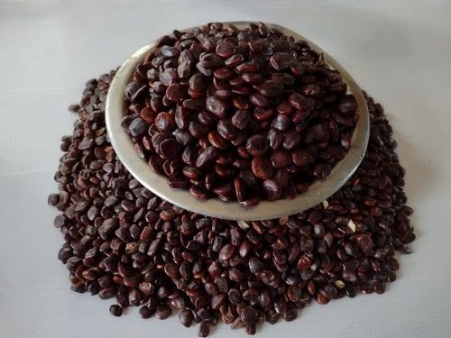 Organic Tamarind Kernels