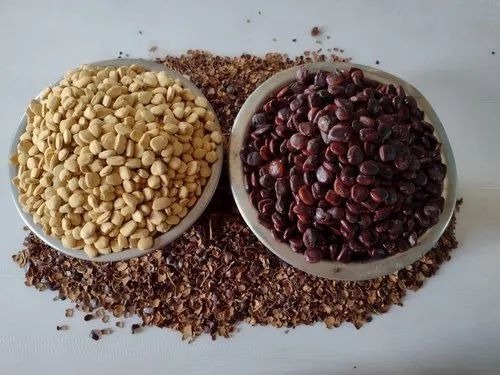 Tamarind Seeds Kernel