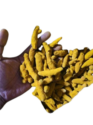 Yellow Turmeric Finger 