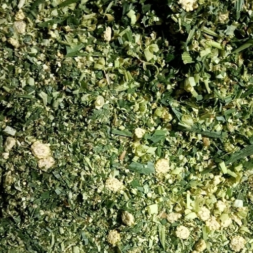 Corn Silage