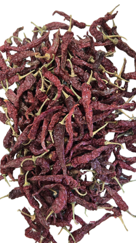 Dry Red Chili