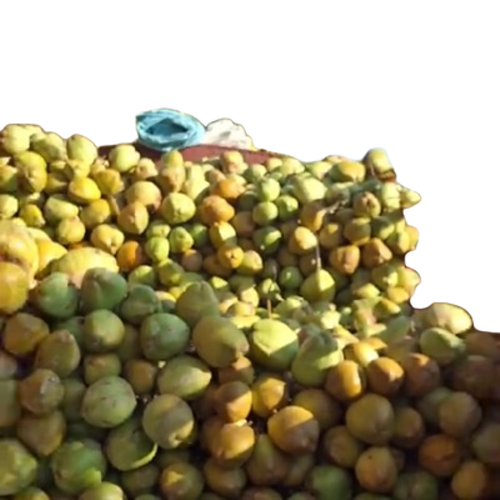 Fresh Tender Coconut