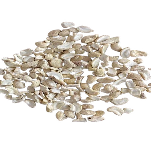 Grade Lwp Cashews Nut