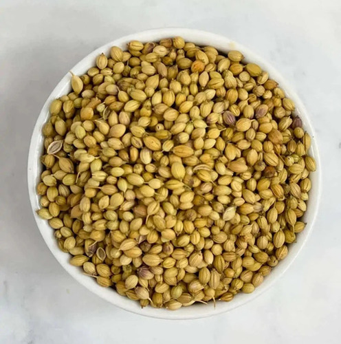 Badami Coriander Seed