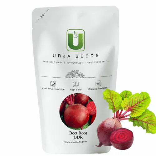 Beet Root Imported Seeds