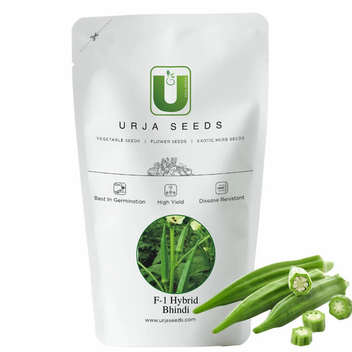Bhindi Okra Us (F-1 680) Seeds