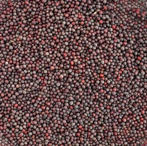 Black Mustard Seeds