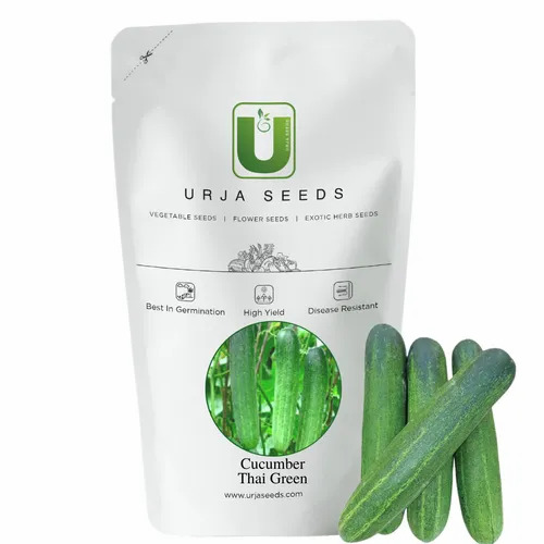 Cucumber (F1 Thai- Light Green) Seeds