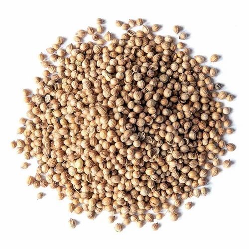 Organic Coriander Seed