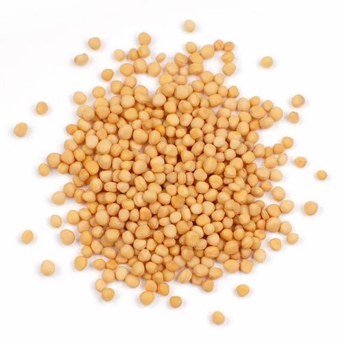 Yellow Mustard Seeds