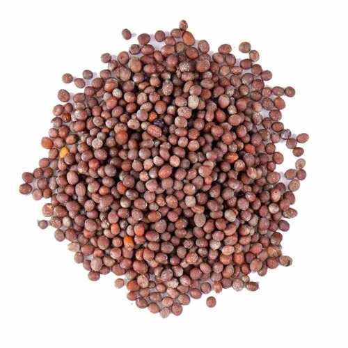 Black Mustard Seed