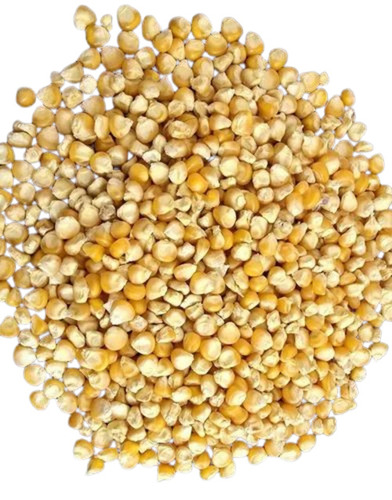 Fresh 6240 Maize Grain - Yellow Loose Bag | A Grade High in Protein Dried 12 Months Shelf Life