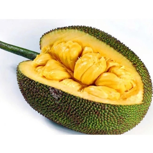 Fresh Jack Fruit