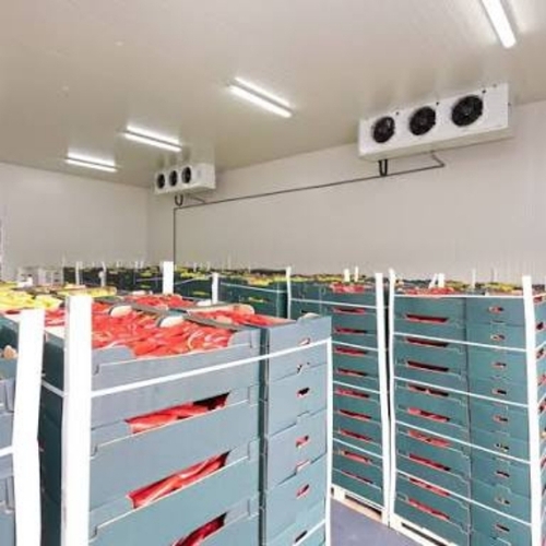 Cold Storage Warehouse - Insulated Walls Temperature Controlled Energy Efficient Fire Resistant | Spacious Layout Reliable Cooling Hygienic Environment High Capacity