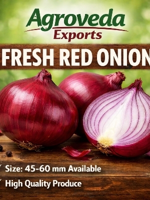 Red Onion