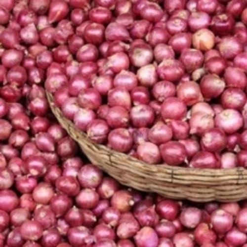 Small Red Onion