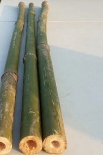 Bijli Bamboo - Bamboo, Various Sizes, Green | Split Into Strips, Easy To Store, Low Maintenance