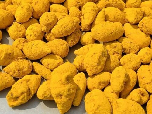 Salem Organic Turmeric Bulb