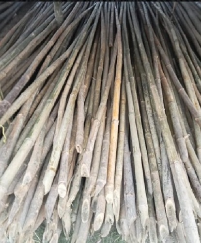 Tulda Bamboo - Various Sizes Natural Bamboo | Non-Toxic, Easy to Cut, Easy to Transport