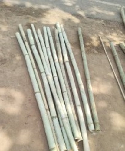 Bamboo Pole