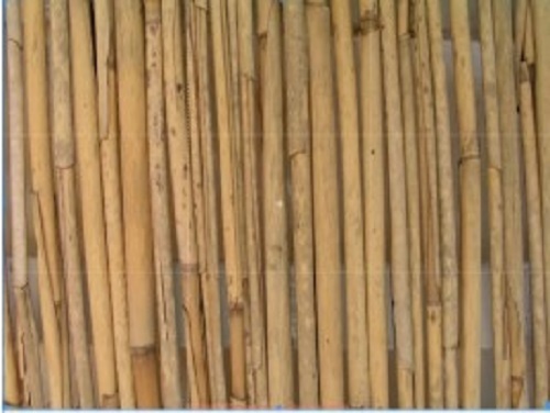 Wooden Bamboo Poles - Bamboo, Various Diameters | Crack-Resistant, Lightweight Yet Sturdy