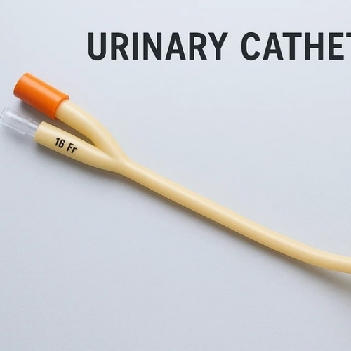 Disposable Catheter 