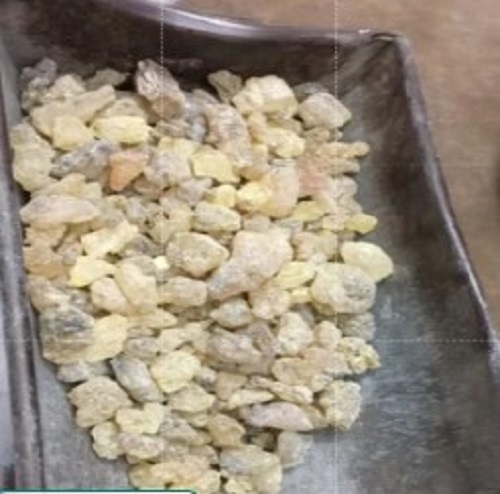 White Gum Copal - White, Industrial Grade, 99% Purity | Long Shelf Life, Hygienically Packed, Tested Quality