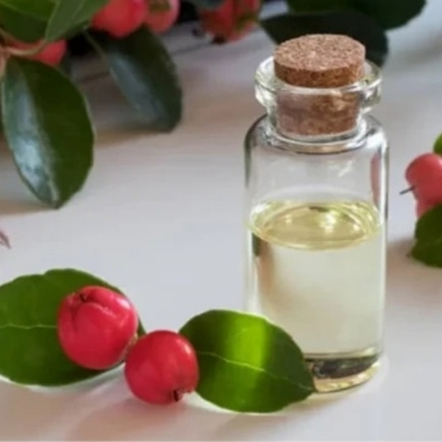 Wintergreen Oil