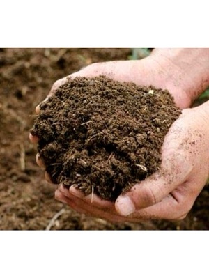Crop Support Organic Fertilizers - Purity(%): 100%