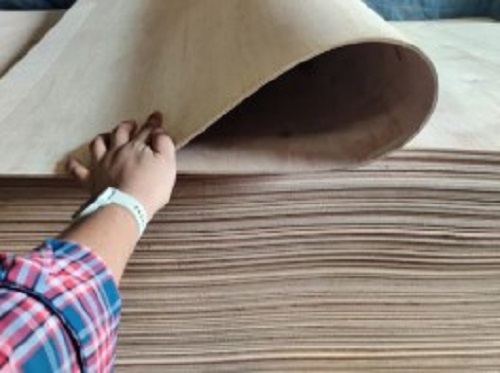 Imported Flexible Plywood - Various Sizes, Light Weight, Termite and Moisture Resistant | Strong Screw Holding, Smooth Surface Finish, For Construction and Furniture
