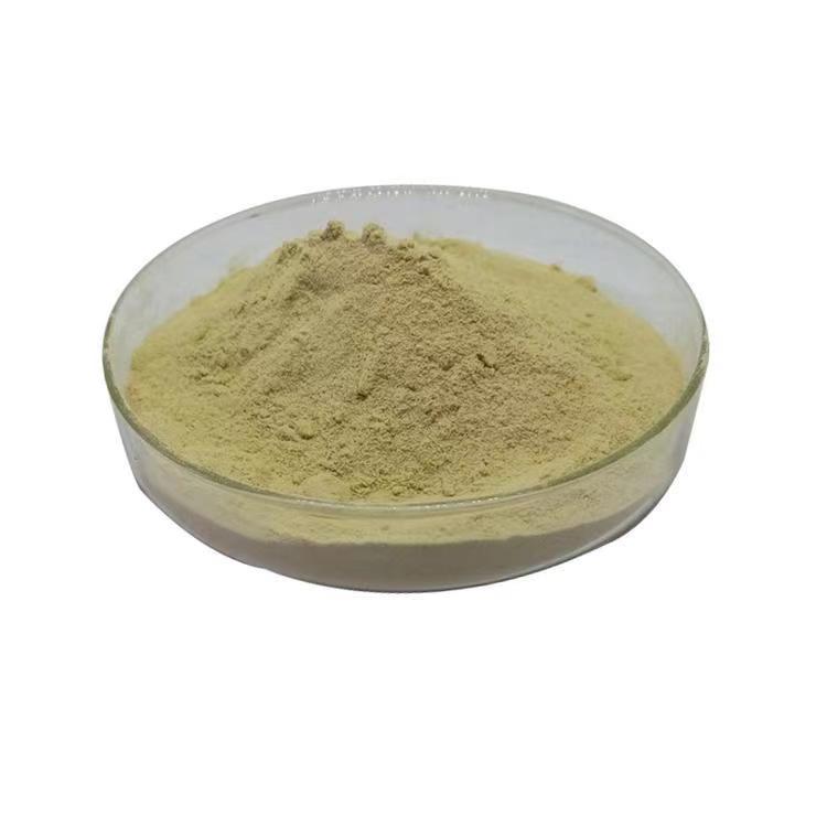 Nicotinamide Mononucleotide - Cas No: 1094-61-7