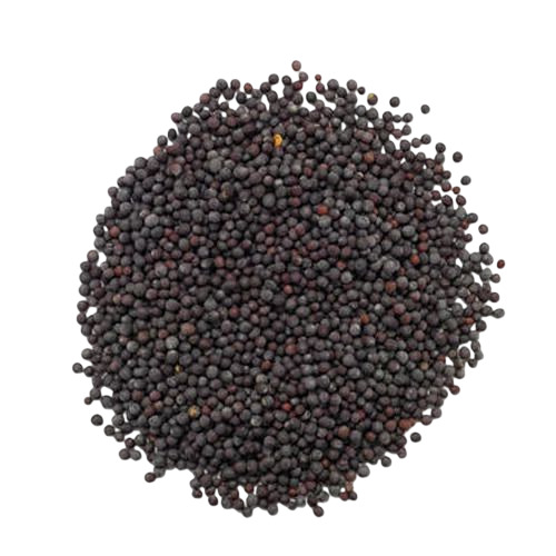 Black Mustard Seeds