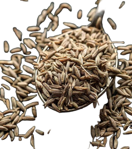 Cumin Seeds