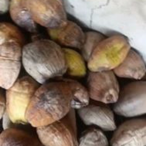 Fresh Grated Coconut 