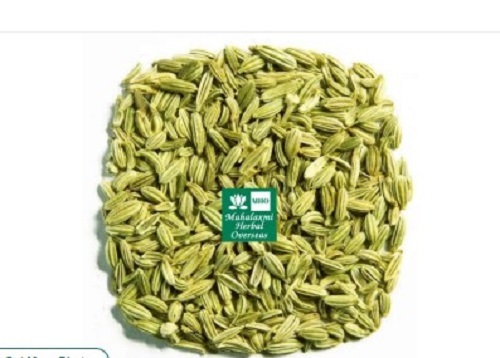 Green Fennel - Grade: Food