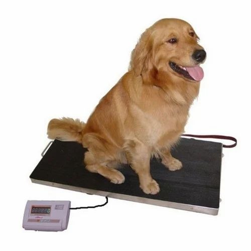 Animal Weighing Machine