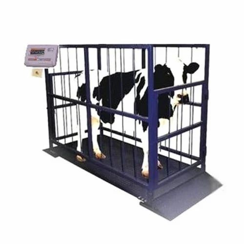 Cow Weighing Machine