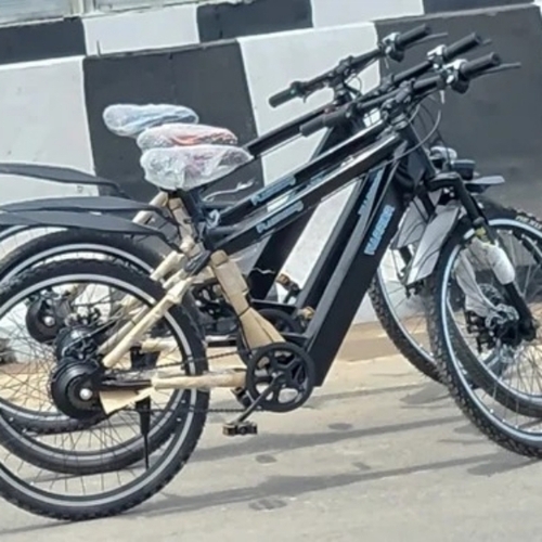 Electric Bicycle