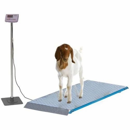 Goat Weighing Machine