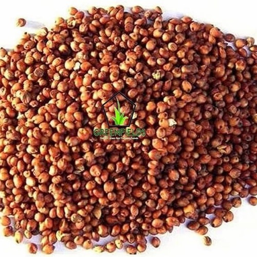 Napier Or Elephant Grass Seed - Small, Golden-Brown | Drought Tolerant, Nitrogen Fixing, Deep Rooting, Pest Resistant, Heat Tolerant Pasture